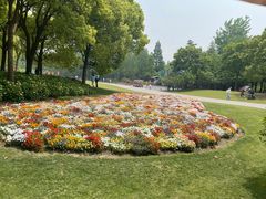 -上海滨江森林公园