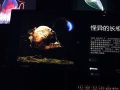 -同济大学四平路校区深海探索馆