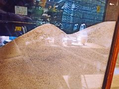 -77号渔船·蒸海鲜青岛菜(积米崖店)