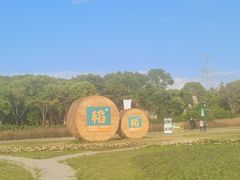 -嘉北郊野公园