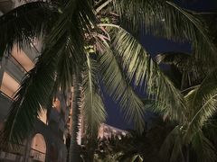 -三亚海棠湾喜来登度假酒店