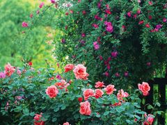 -上海交通大学(闵行校区)