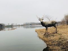 -溱湖国家湿地公园