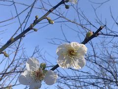 -广州市流溪河国家森林公园