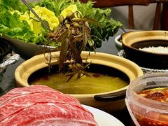 -金龙·打边炉(武进路店)