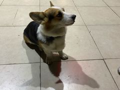 -阿尔法海鲜排档(爱琴海店)