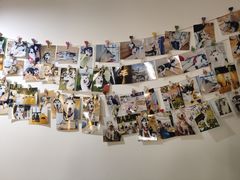 -Husky Go! 哈士奇体验馆·宠物咖啡厅狗咖