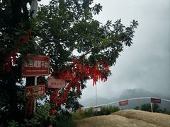 -六里坪国家森林公园