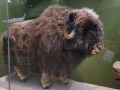 -国家自然博物馆