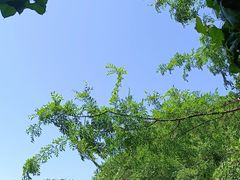 -青龙山国家森林公园