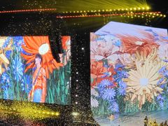 -杭州奥体中心-体育场