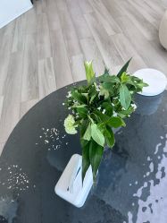 -HEYAN荷妍专业脱毛连锁机构