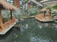 -南宫五洲植物乐园