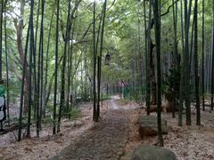 -宝岩生态观光园