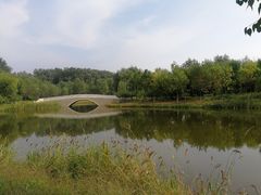 -东郊湿地公园