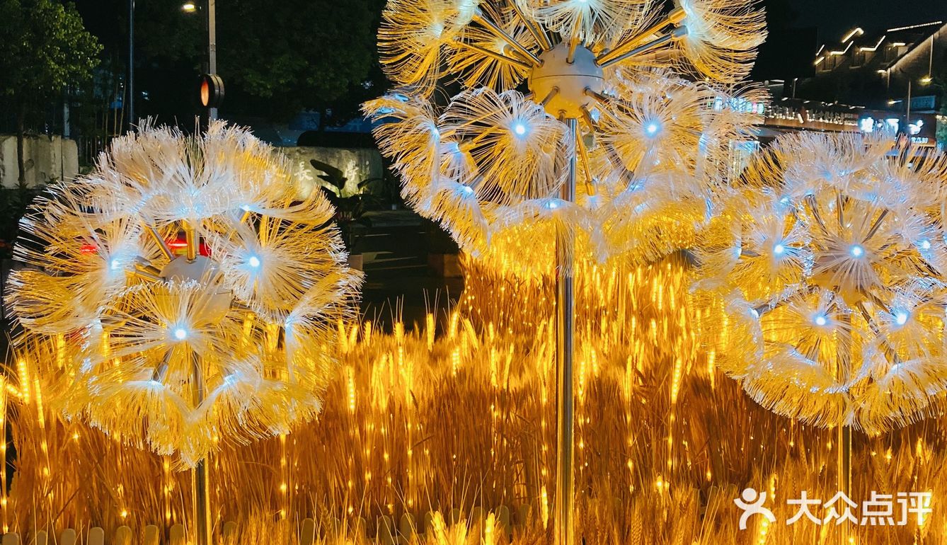 湖滨的麦子黄了!