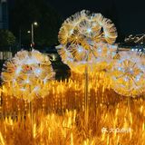 湖滨的麦子黄了!