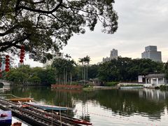 -荔湾湖公园