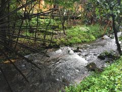 -德庆盘龙峡生态旅游区