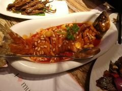 -蝴蝶汇音乐酒馆(罗湖店)