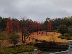 -牛首山文化旅游区