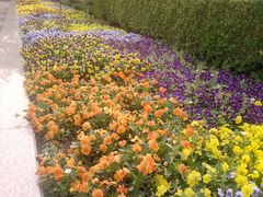 景点-上海市龙华烈士陵园