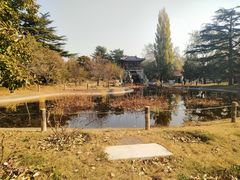 -北京植物园南门售票处