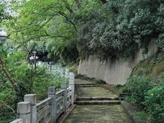 -焦山风景区