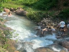 -广州白江湖森林公园