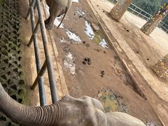 -贵州森林野生动物园