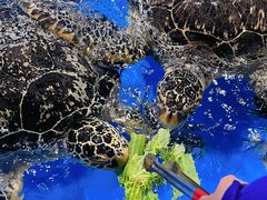 -泉城欧乐堡海洋极地世界