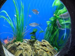 -华夏文旅海洋公园