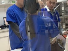 -伟伟宠物医院·瑞派猫友好医院·猫科(光谷店)