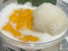 -舍予茶(桂林路店)