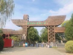 -溱湖国家湿地公园