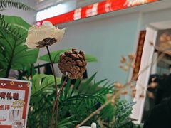 -靓蛙馆