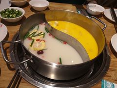-青瓷火锅料理(西单大悦城店)