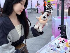 -金茂览秀城