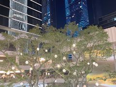 -深圳湾万象城(南山店)