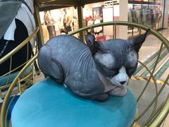 -糯米喵星人·撸猫猫舍咖啡馆(西市场嘉华店)