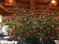 -八府香鸭·啫啫煲(华山路店)