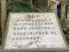 -上海佘山国家森林公园天马山园