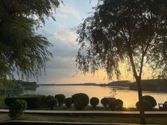 -丁香湖公园