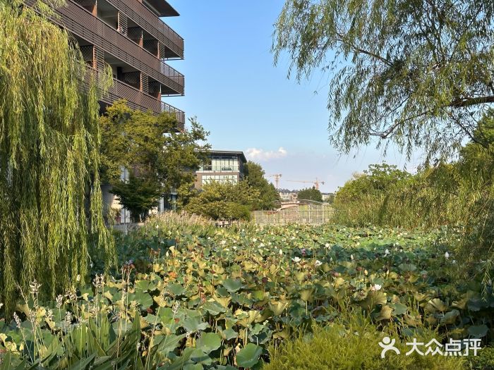 水月周庄铂尔曼酒店-水月荟中餐厅图片