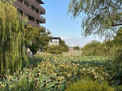 -水月周庄铂尔曼酒店-水月荟中餐厅