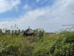 -马帮寨院坝火锅(龙港公园店)