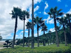 -普陀山风景名胜区-千步大沙