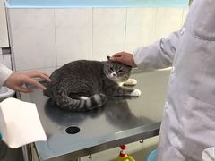 -畜牧兽医站(共江路店)