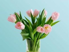 -御苑精品川菜馆(锦江店)