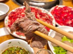 吊龙-汕头八合里海记牛肉店(清河店)